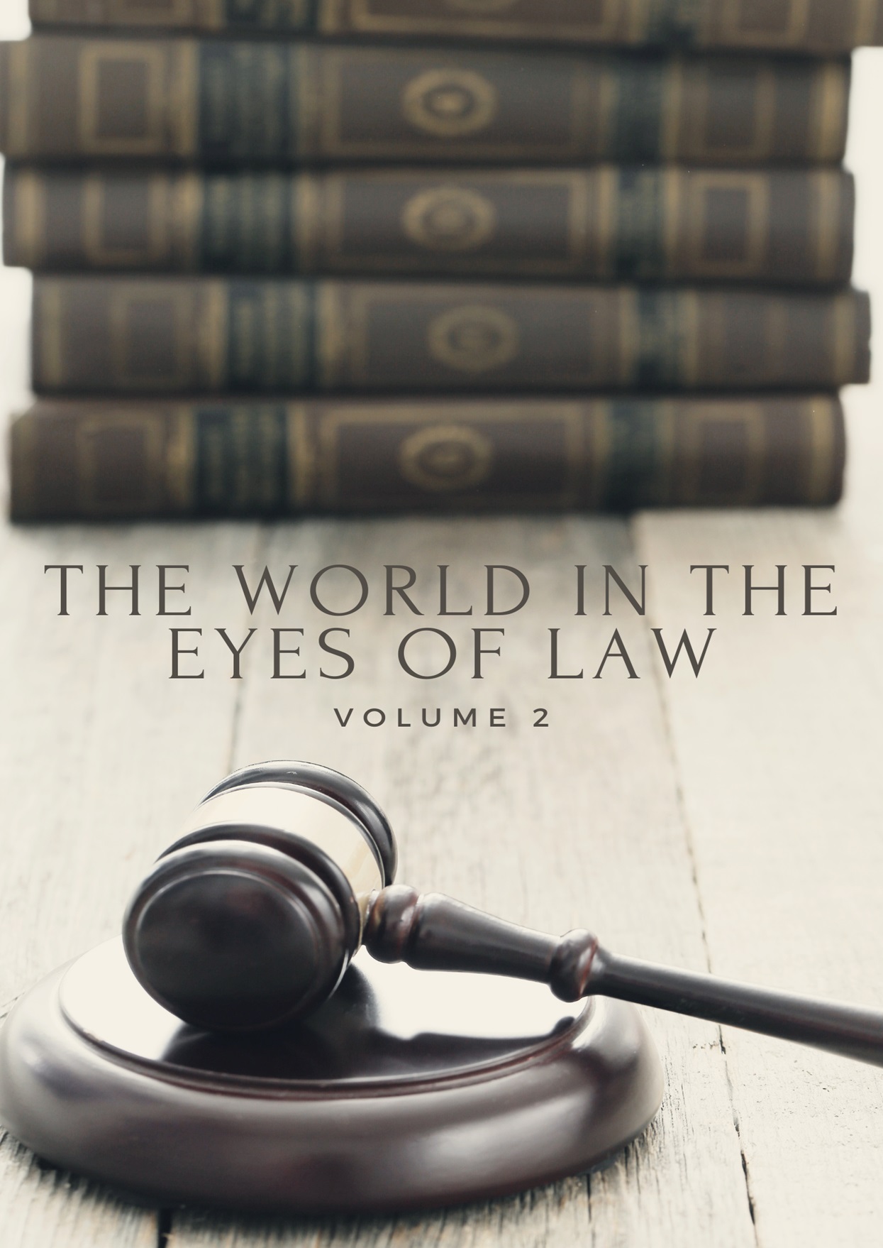 The World in the Eyes of Law (Volume 2)