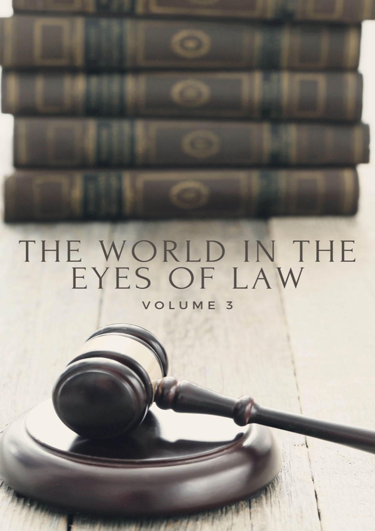 The World in the Eyes of Law (Volume 3)